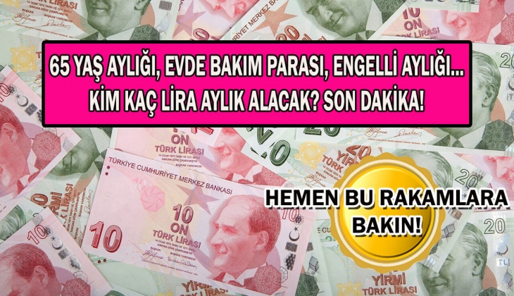 Yaşlılık aylığı, evde bakım yardımı, engelli maaşı kaç lira yatacak? Sosyal destek ödemelerine zam var mı? 