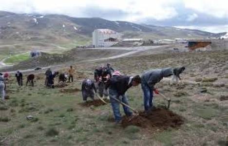Erciyes'e, Kayseri'nin nüfusu kadar fidan dikilecek!