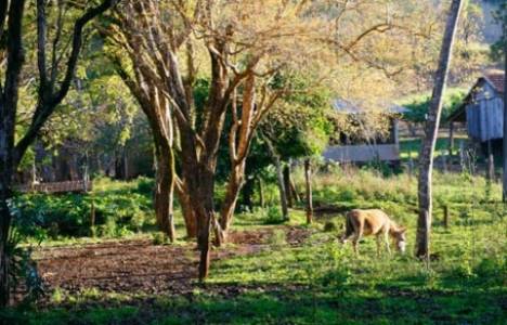 Kozan'daki Kurtoğlu Çiftliği satılıyor!