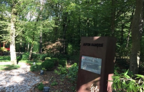 Park Orman Tabiat Parkı için yeniden düğmeye basıldı!