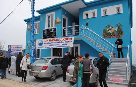 Büyükçekmece’de 'kedi evi' açıldı!