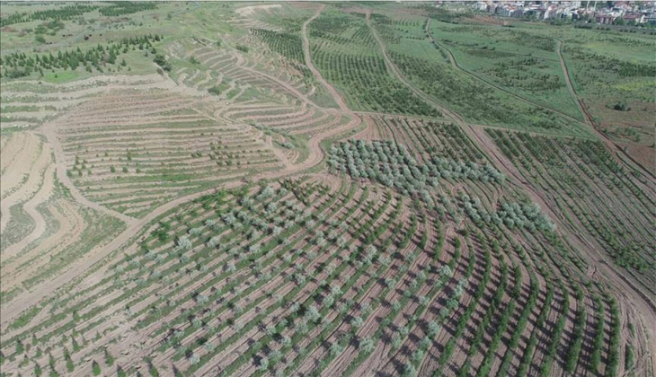 Atatürk Orman Çiftliği'ndeki spor tesisi 10 yıllığına kiralanacak!