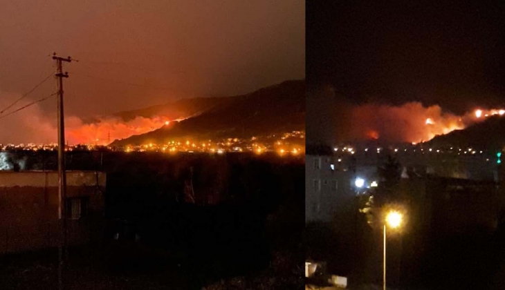 Son Dakika!... Hatay’da gece yarısı orman yangını çıktı