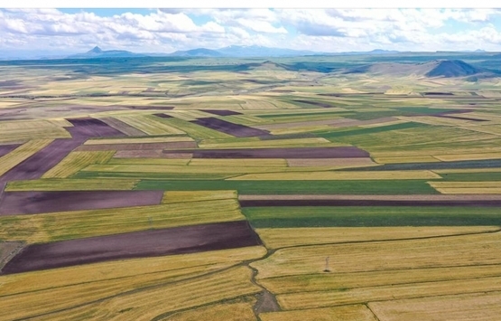 Milli Emlak tan satılık ve kiralık araziler!