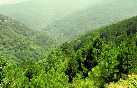 Kaz dağları UNESCO yolunda!