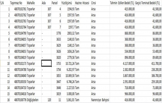 Muğla da 19.8 milyon TL ye satılık 16 gayrimenkul!