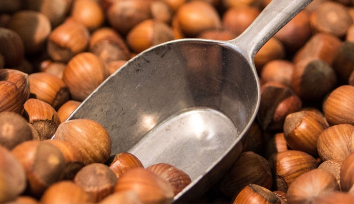 Fındık hasadı resmen başladı! İl il fındık fiyatları ne kadar oldu? Son dakika rakamlar geldi! 