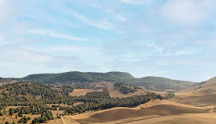 Milli Emlak, Bursa ve Giresun’da taksitle arsa, konut ve fındık bahçesi satıyor!