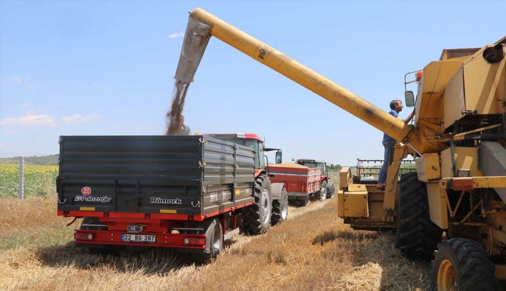 Buğday fiyatlarını açıklayan TMO dan büyük zarar! Çiftçinin ödemesi yapılacak mı?