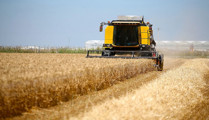 Çiftçiler dikkat! Buğday alım fiyatı bugün kaç lira oldu? İşte TMO ve ticaret borsaları 11 Temmuz 2022 fiyat listesi...