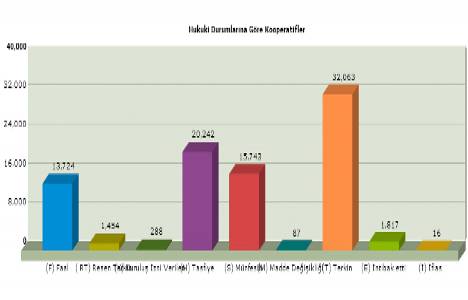 Kooperatif istatistikleri!