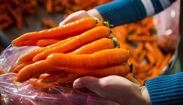 1 kilo havuç 50 TL oldu! Dernek başkanı: Bugünlerde bence yemeyelim, biz de yemiyoruz!