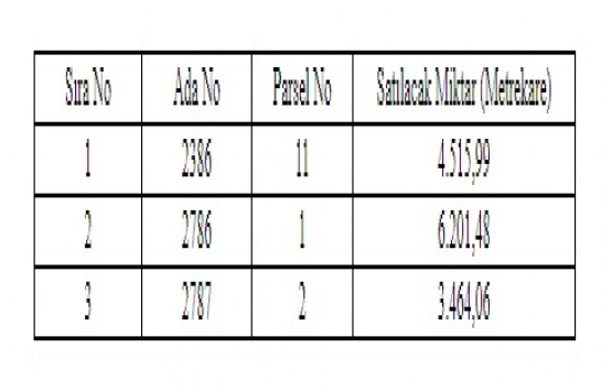 Yalova Kadıköy de 14 milyon TL ye satılık 3 arsa!