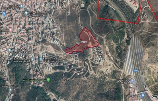 Balçova'da 17.9 milyon TL'ye satılık zeytin aşılığı!