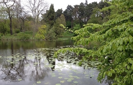 İşte dünyanın en yeşil 10 şehri!