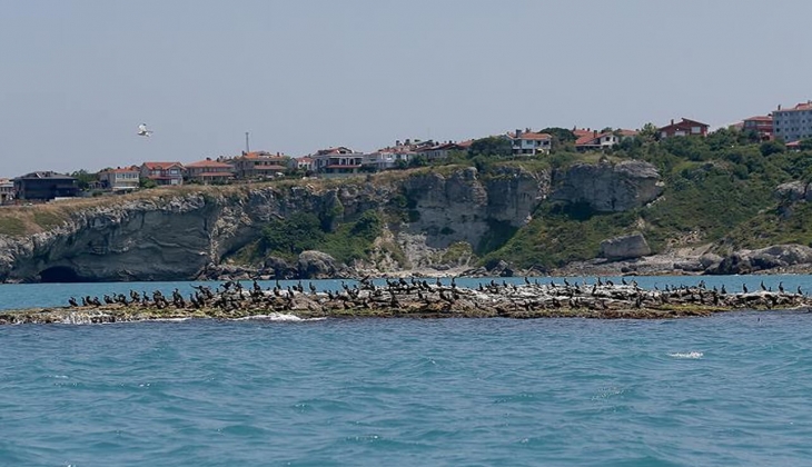 İstanbul un göbeğinde satılık arsa fırsatı! Arsa alacaklara müjde! 