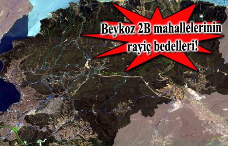 beykoz belediyesi 2b arazileri