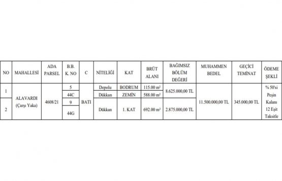 Konya da 11.5 milyon TL ye satılık 2 gayrimenkul!