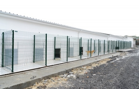 Beylikdüzü Hayvan Bakım Evi Merkezi yenilendi!
