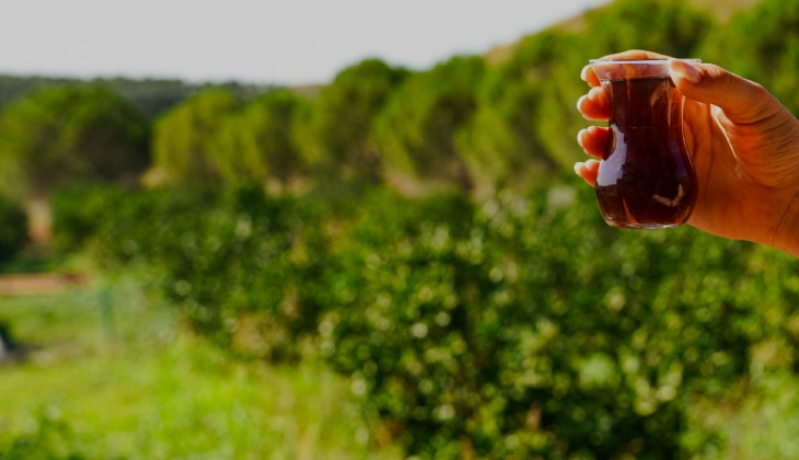 Seferihisar Mandalina Vadisi nde fiyatlar 600 bin TL den başlıyor!