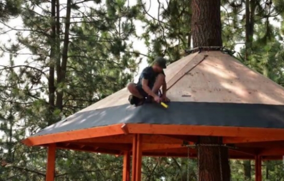 ABD deki ağaç ev görenleri hayran bırakıyor!