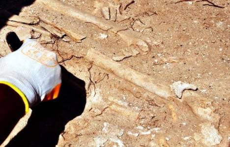 Bodrum'da 2 ayrı arsada yapılan sondaj çalışmaları sırasında tarihi bulgulara rastlandı!