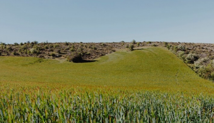 Milli Emlak, iki ilde 52 bin TL’den başlayan fiyatlarla arsa ve arazi satıyor!