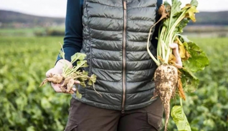 Bakan duyurdu! o ödemeler hesaba yattı! IBAN numaranızı hemen kontrol edin
