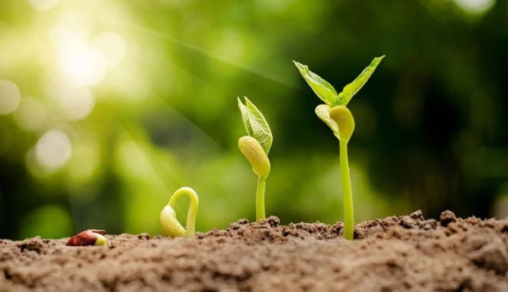 Gaziantep'te bulunan çiftçilere 3 bin 800 ton tohum ve gübre desteği verildiği açıklandı