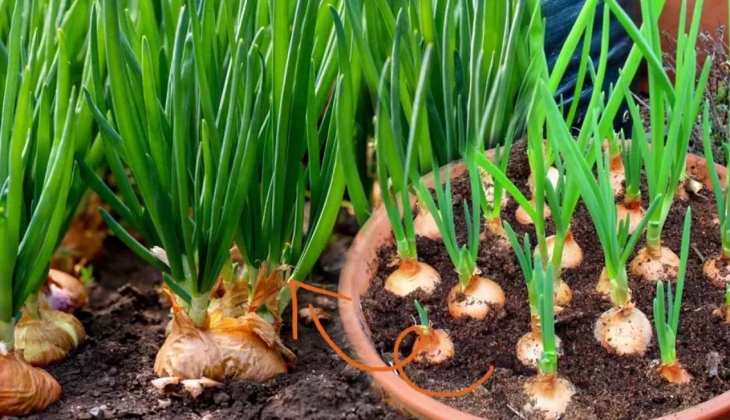 İşte İstanbul da ocak ayının zam şampiyonu! 