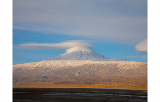 Ağrı'da 16.2 milyon TL'ye satılık arsa!