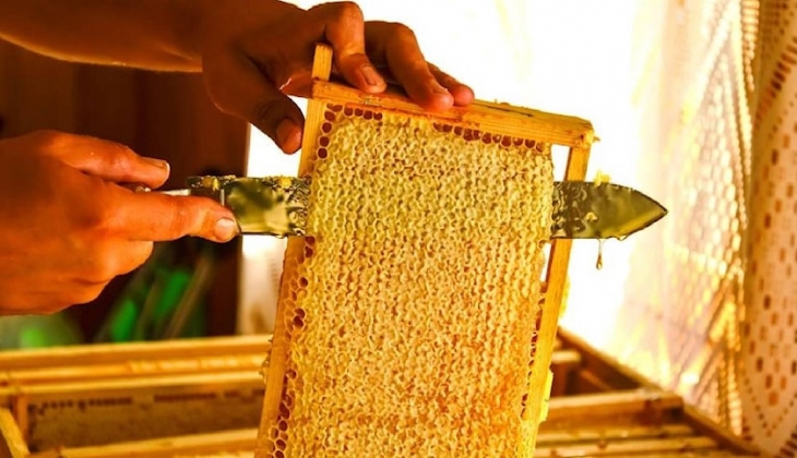 Türkiye'de üretilen bal, 52 ülke arasında en çok tercih edilen bal oldu