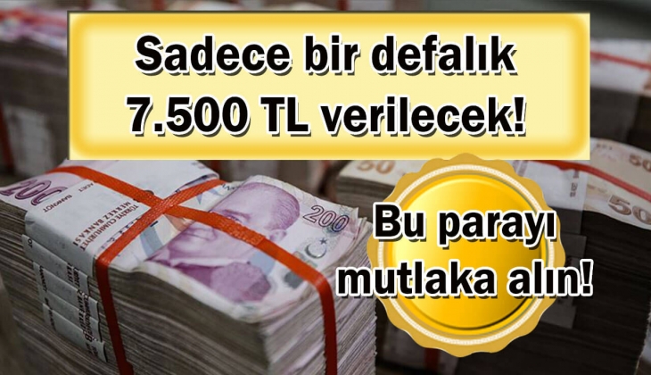 Aile Bakanlığı'ndan önemli bir yardım duyurusu daha! Sadece tek bir kez 7 bin 500 TL para yatırılacak! Sakın kaçırmayın