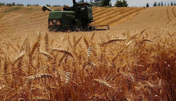 Türkiye en çok buğday ithal eden 3. ülke oldu! BM Gıda Görünümü Raporu nda resmen açıklandı! İşte sebebi...