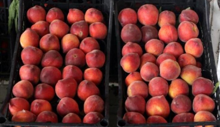 Halde kilosu 7 lira olan şeftali markette 27 liraya satılıyor!