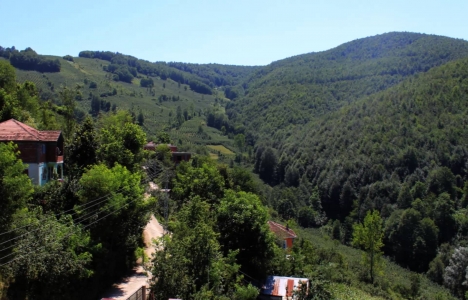 Ordu Aybastı'da işyeri yapım işi ihalesi 25 Mayıs'ta!