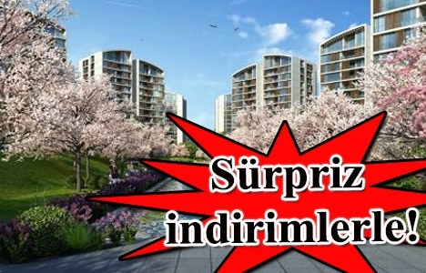  Resim İstanbul Orman'da 230 bin TL'ye! Kişiye özel ödemelerle!