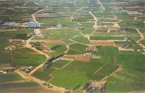 Tarım dışı amaçla kullanılamayacak araziler nelerdir?