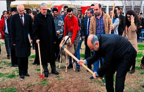 Mersin Üniversitesi Mimarlık Fakültesi ek binasının temeli atıldı!