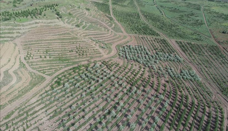 Atatürk Orman Çiftliği ne Türk-İş in genel merkez binası yapılacak iddiası!
