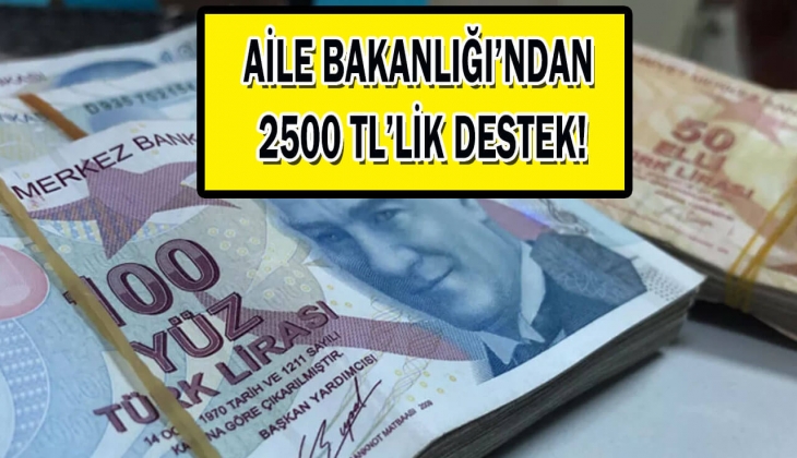 Aile Bakanlığı başvurusu onaylanan herkese 2.500 TL verecek! PTT'den anında çekeceksiniz! İşte başvuru kriterleri...