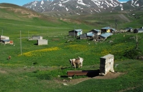 Erzincan Çayırlı'da icradan 94.5 milyon TL'ye maden sahası!