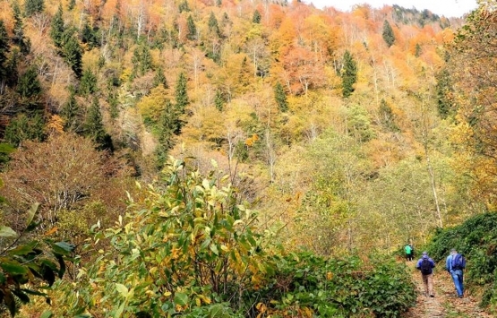 Fırtına Deresi imara mı açıldı?