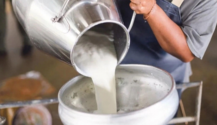 Sanayici bastırdı süt fiyatları düştü! Peki şimdi ne olacak?