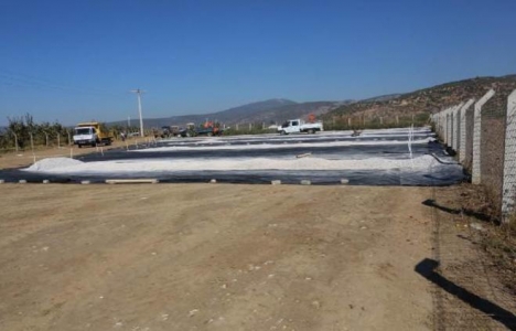 İzmir Selçuk'taki sera, mezarlık oluyor!