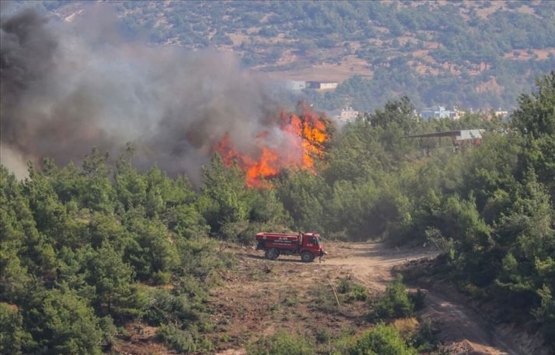 Nef Vakfı, yanan köyleri yeniden inşa edecek!