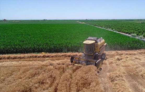 2022 mazot gübre desteği dönüm başına ne kadar? Mazot gübre desteği ne zaman ödenecek? 