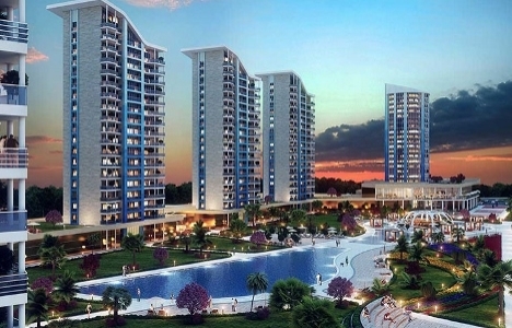 Demir İnşaat Demir La Vida resimleri!