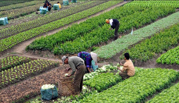 Organik tarım yapan 2 bin 500 üreticiye destek sağlanacak