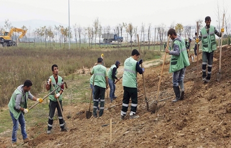 Kocaeli Çağdaşkent’te ağaçlandırma çalışmaları başladı!